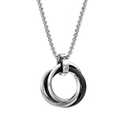 Sleek ring necklace